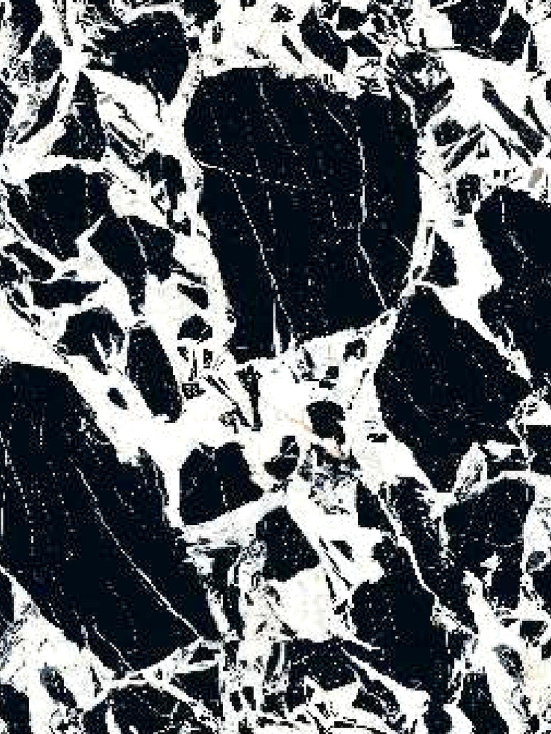 Castoa Black Marble