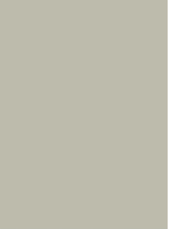 Matte Grey Anti-FP