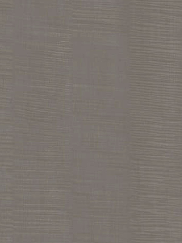 Moon Shadow Almond