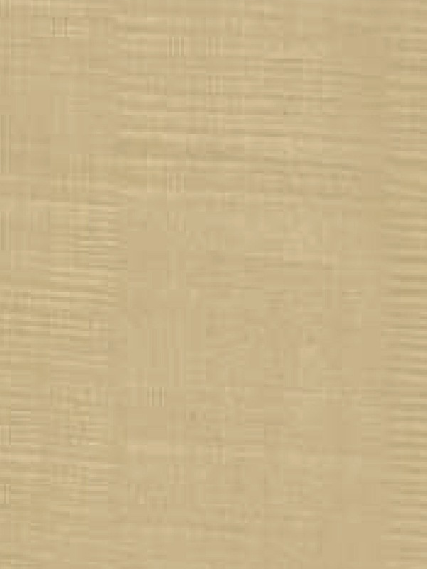 Moon Shadow Grey