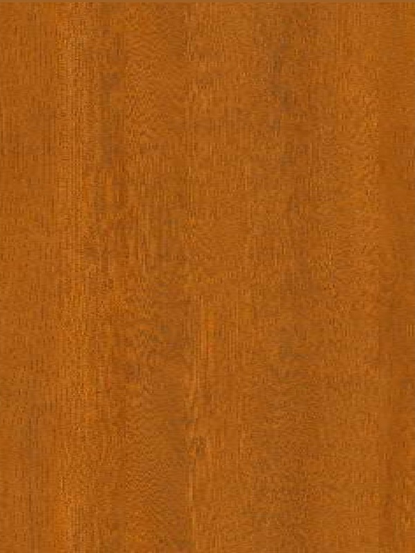 Wild Oak Yellow