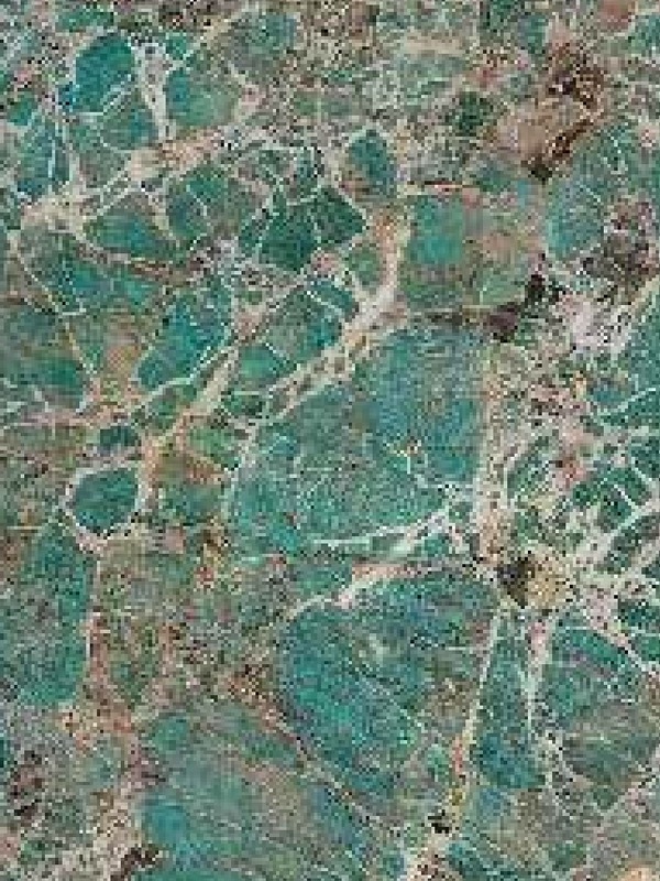 Amazon Green